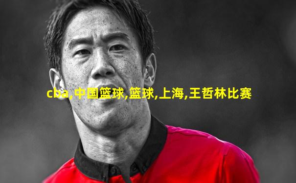 cba,中国篮球,篮球,上海,王哲林比赛