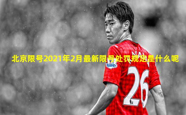 北京限号2021年2月最新限号处罚规定是什么呢