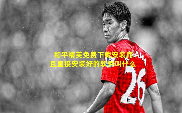 和平精英免费下载安装而且直接安装好的软件叫什么
