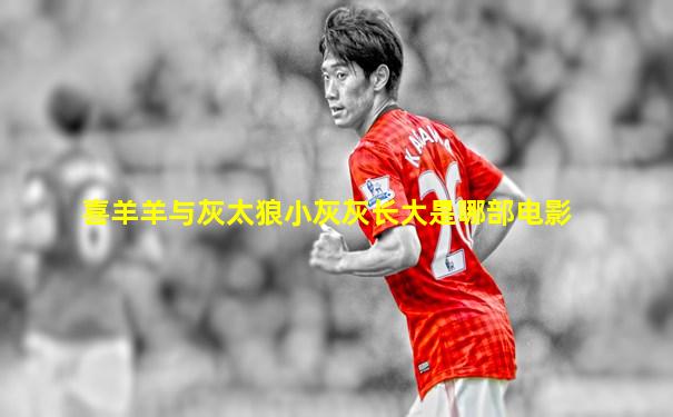 喜羊羊与灰太狼小灰灰长大是哪部电影