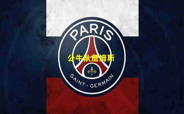 公牛队詹姆斯