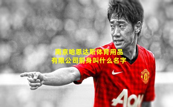 南京哈恩达斯体育用品有限公司前身叫什么名字