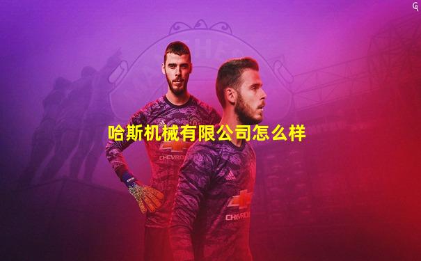 哈斯机械有限公司怎么样