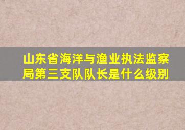 山东省海洋与渔业执法监察局第三支队队长是什么级别