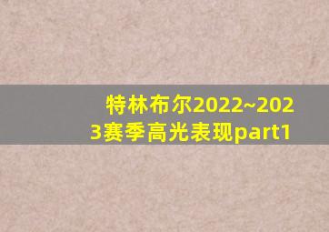 特林布尔2022~2023赛季高光表现part1