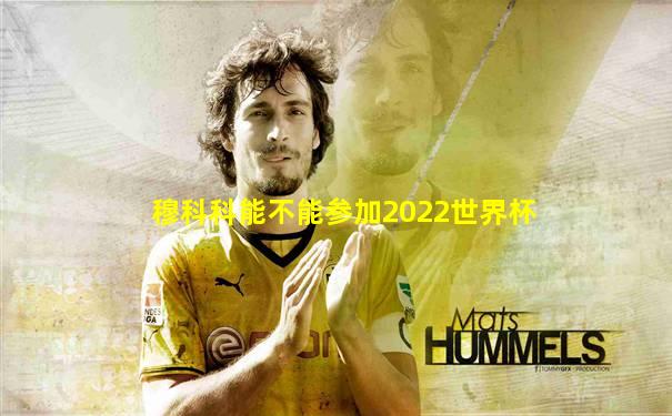 穆科科能不能参加2022世界杯