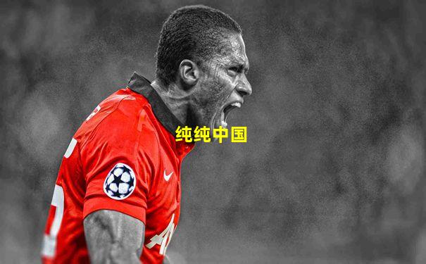 纯纯中国