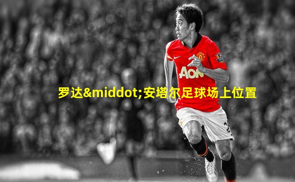 罗达·安塔尔足球场上位置