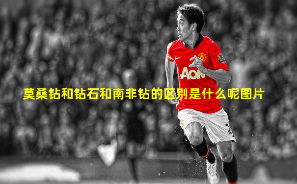 莫桑钻和钻石和南非钻的区别是什么呢图片
